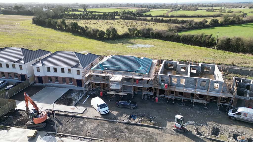 The Cross of Newtown, Ballyroan